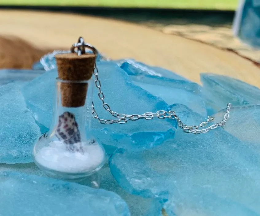 Real Miniature Seashell In Glass Pendant Necklace  - Image 4