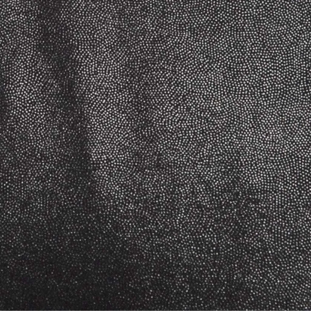 Lululemon Align High Rise Pants Leggings Shine Radiant Foil Black Size 2 NWT - Image 4