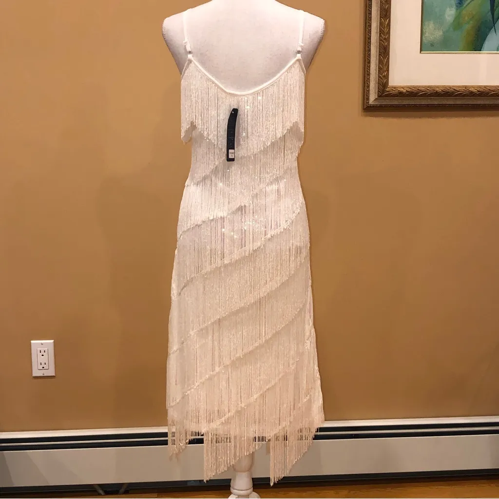 🆕 1920s Sequin and Fringe Flapper Party Mini Dress White Size XL - Image 4