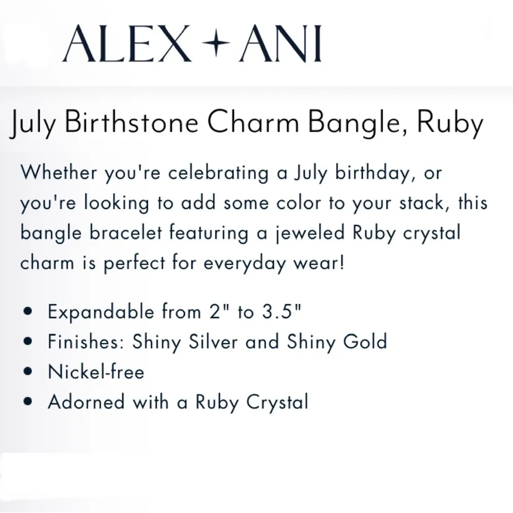 ALEX and ANI July Birthstone Ruby Charm Bangle Bracelet - Image 12