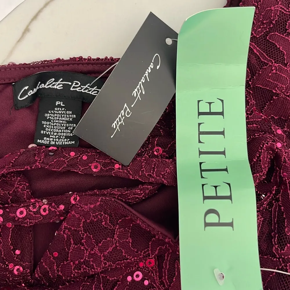 Candalite Petite Plum Colored Lace Dress with side Ruching Purple Size undefined - Image 3