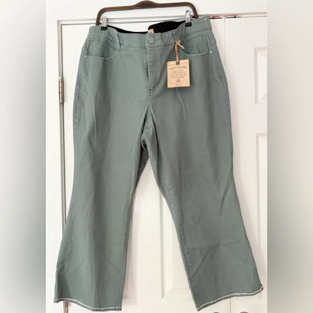 Democracy High Rise Cropped Pants Light Olive Green Size 22 NWT Absolution Tech‎ - Image 2