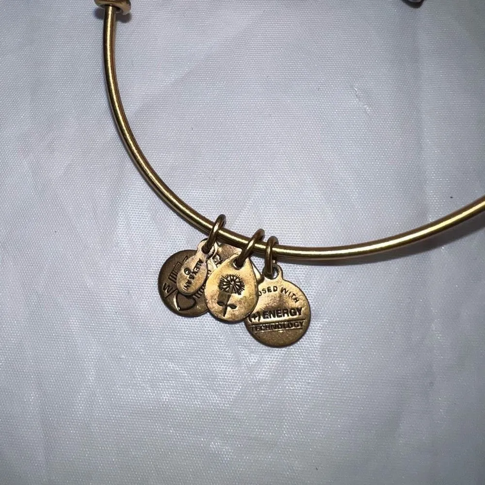 Alex and Ani Elephant Charm Bangle Bracelet Gold‎ Tone RARE RETIRED - Image 5