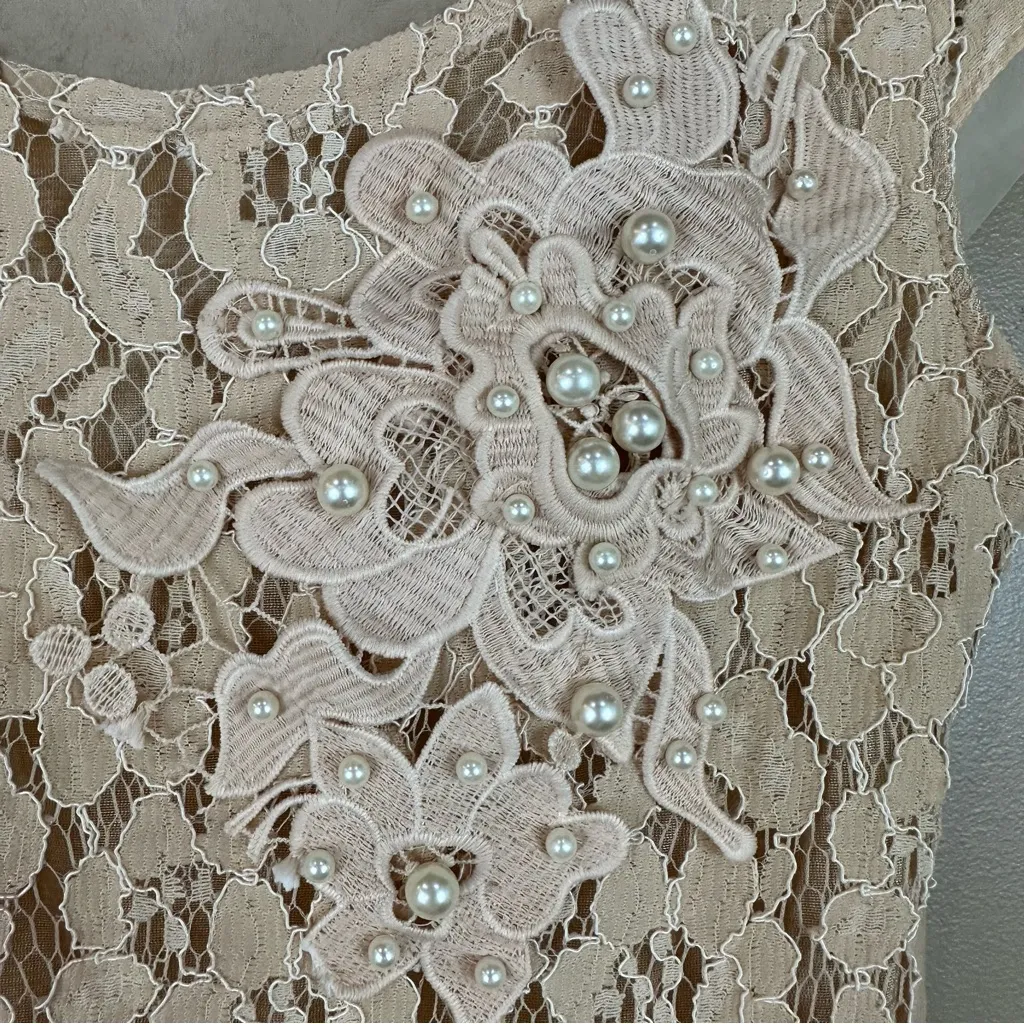 Rouge Washing Powder Cream / Nude Lace Pearl Dress XS - Image 4