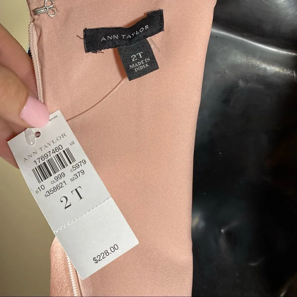 Ann Taylor Pink Jeweled Shift Dress Size 2 TALL - Image 2