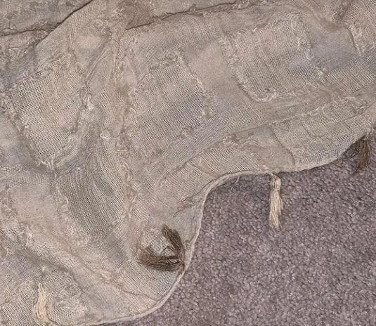 American Eagle Tan Infinity Scarf - Image 3