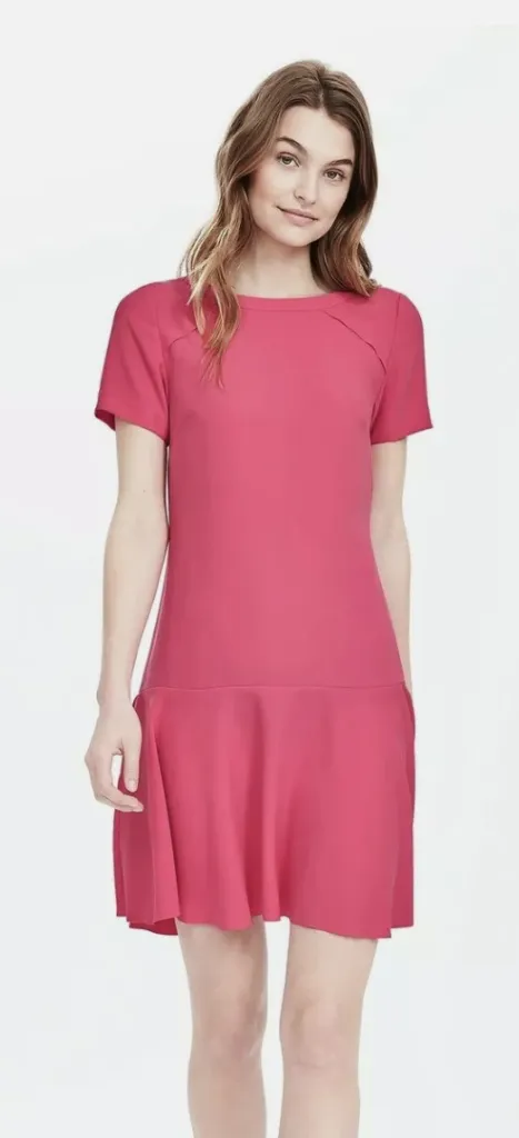 Banana Republic Short Sleeve Flounce Hem Dress - Image 1
