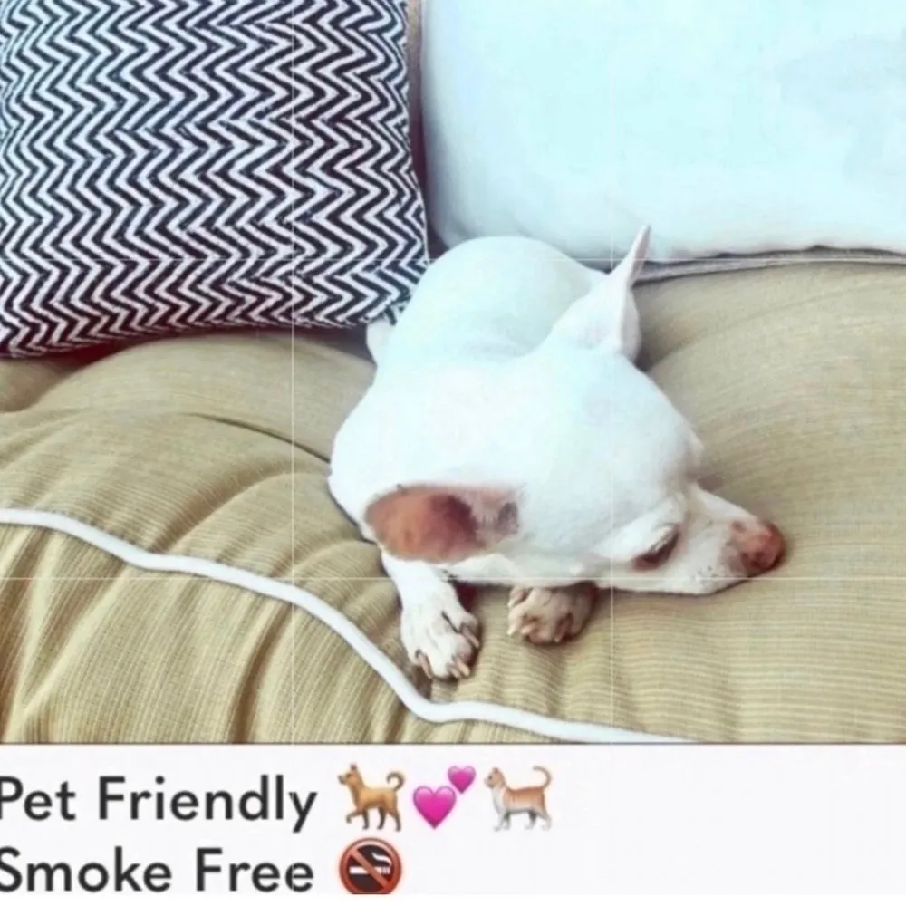 NWT Kenneth Cole  💕 bikini bottom tan/black/white - Image 7