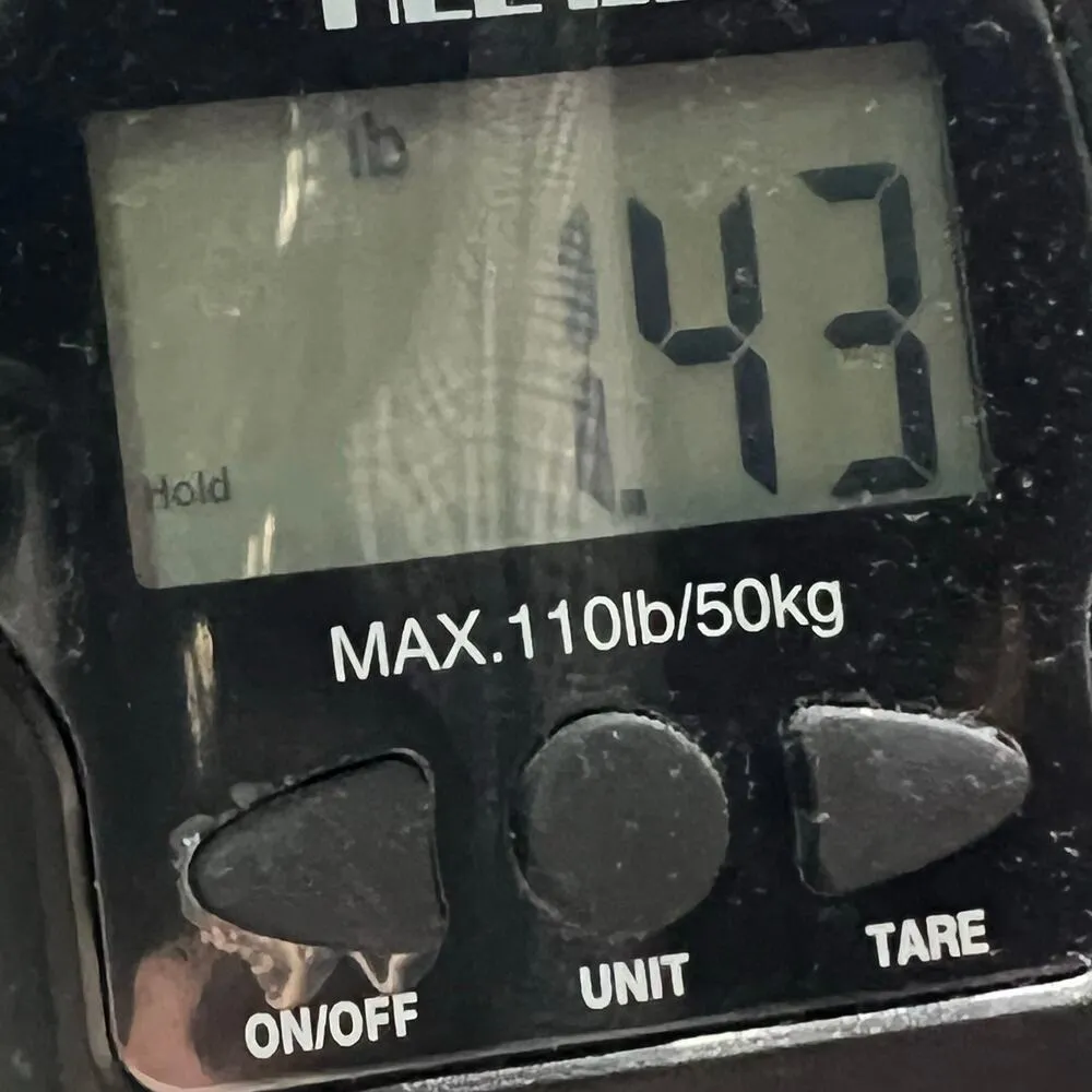 Ezra Fitch Abercrombie Y2K Jeans Womens 29 Blue Bootcut Low Rise Retro Classic - Image 15