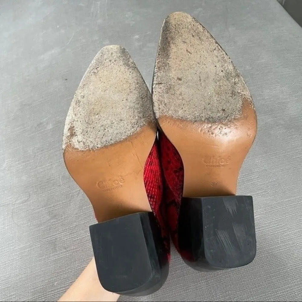 Chloé Chloe Rylee Python Print Leather Ankle Boots - Image 58