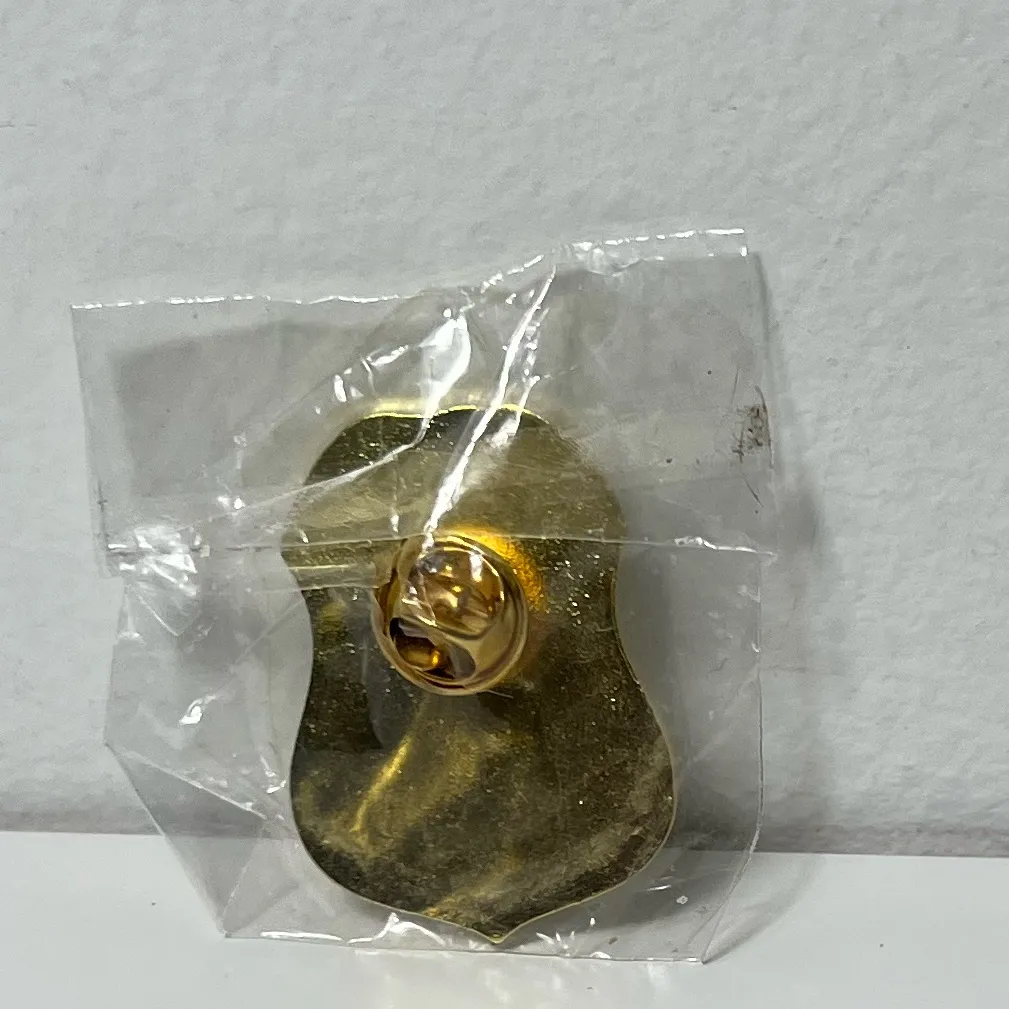 United States US Federal Air Marshal TSA New York Badge Pin Gold - Image 11