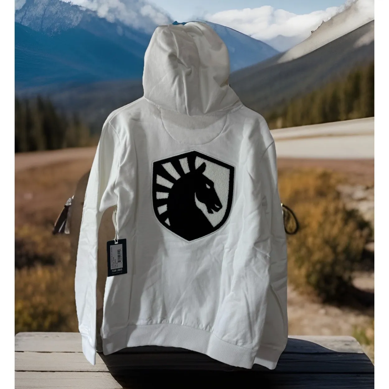 NWT Team Liquid Legacy CHENILLE HOODIE Sz S Heavy Weight Embroidered Large Print White - Image 2