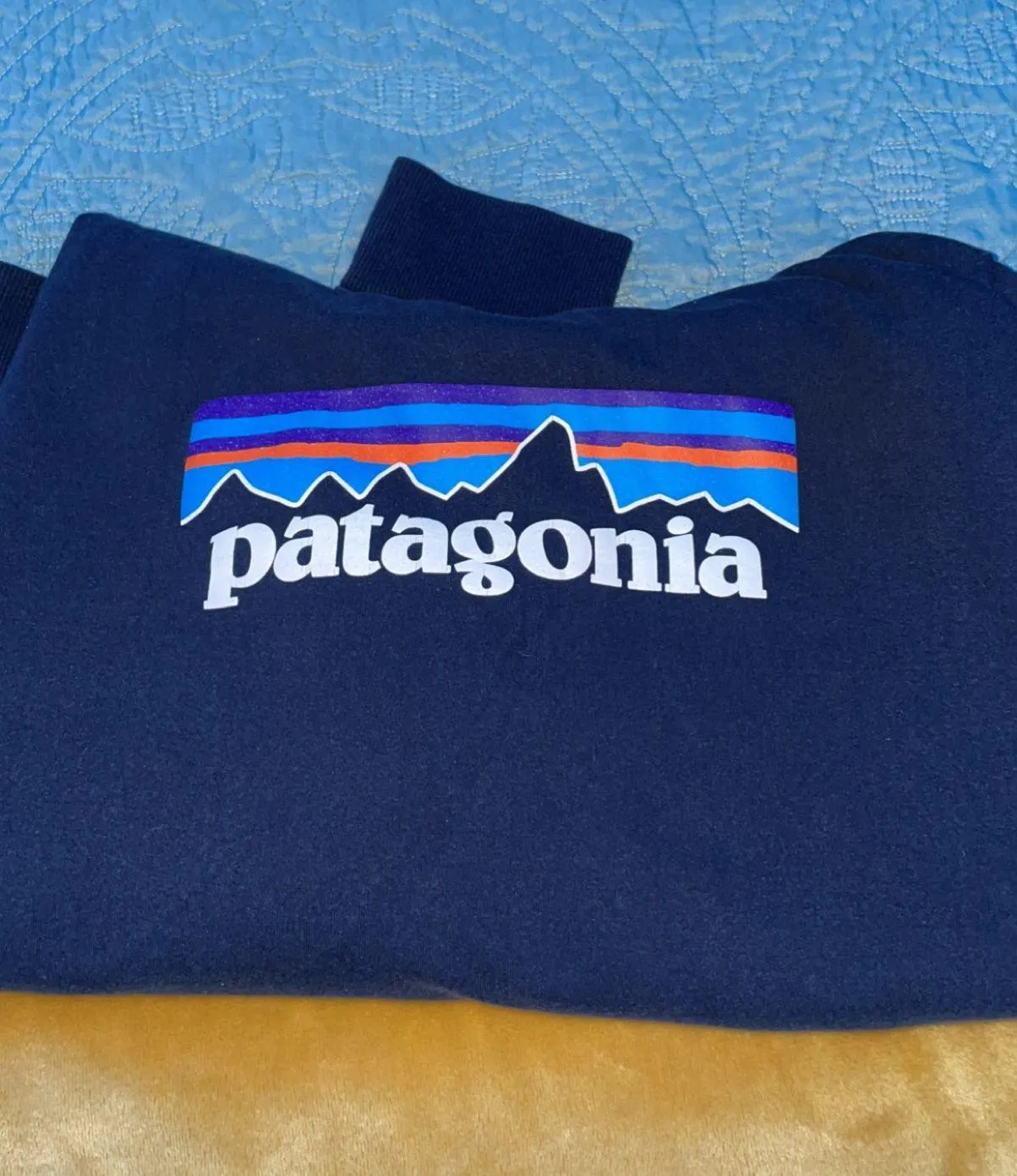 Patagonia Hoodie - Image 2