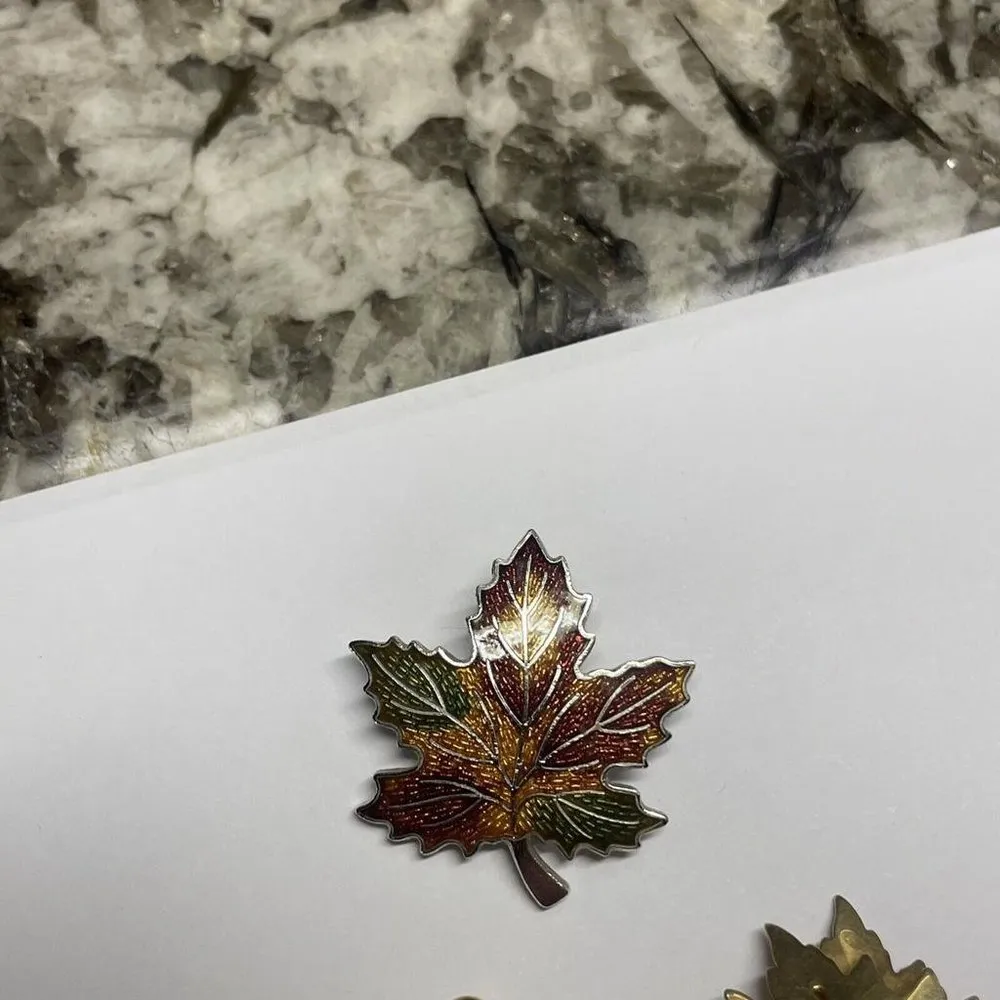 Lot Of 3 Brooch Pins Autumn Fall Thanksgiving season - Image 3