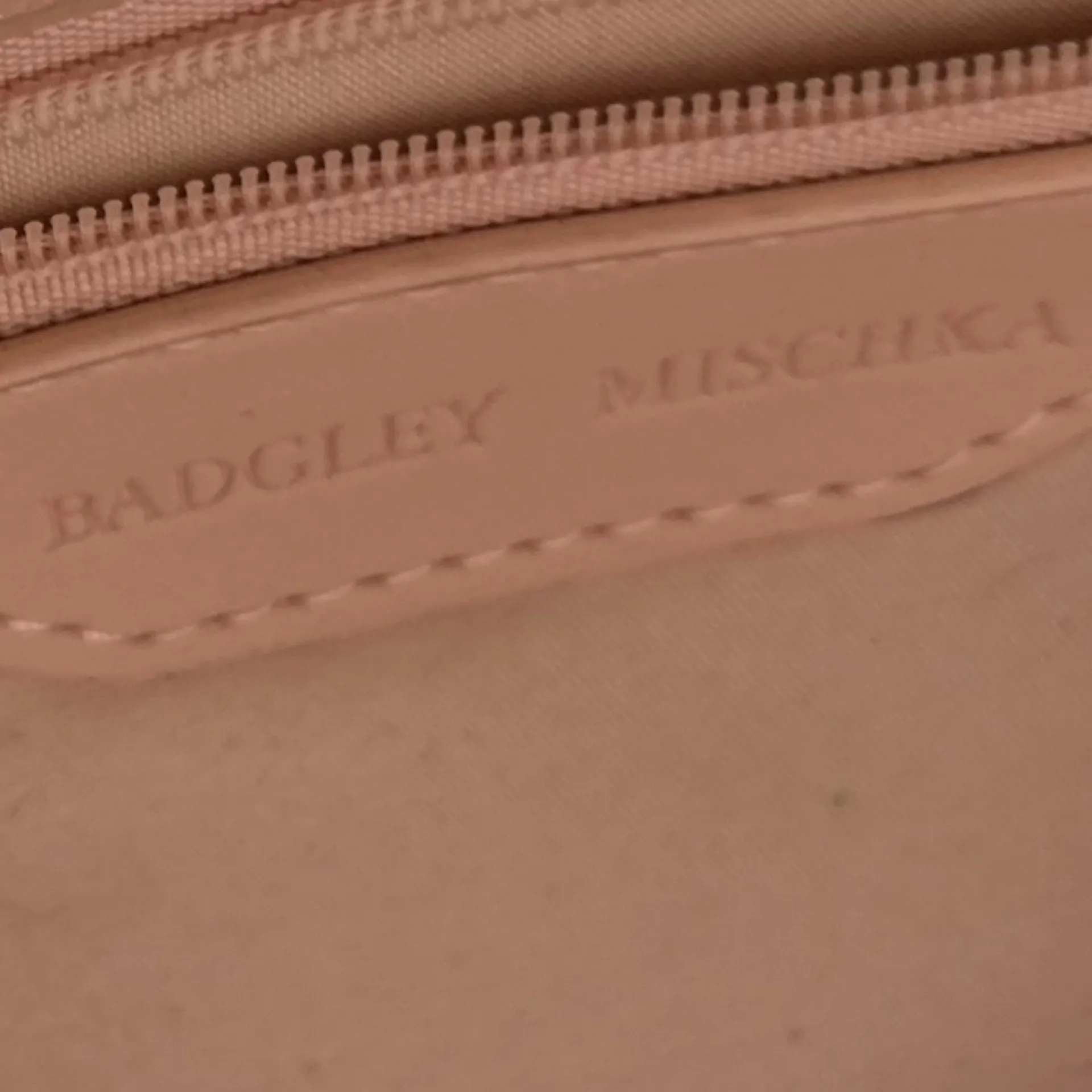 Badgley Mischka Taupe/Blush‎ Metal Fringe Crossbody Bag for Women - Image 13