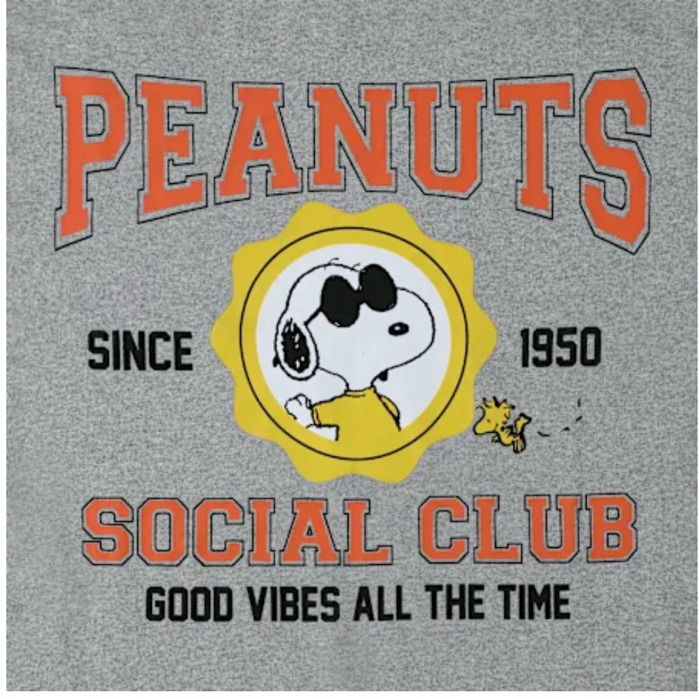 Peanuts Social Club Tee Grey Large NWT Gray - Image 2