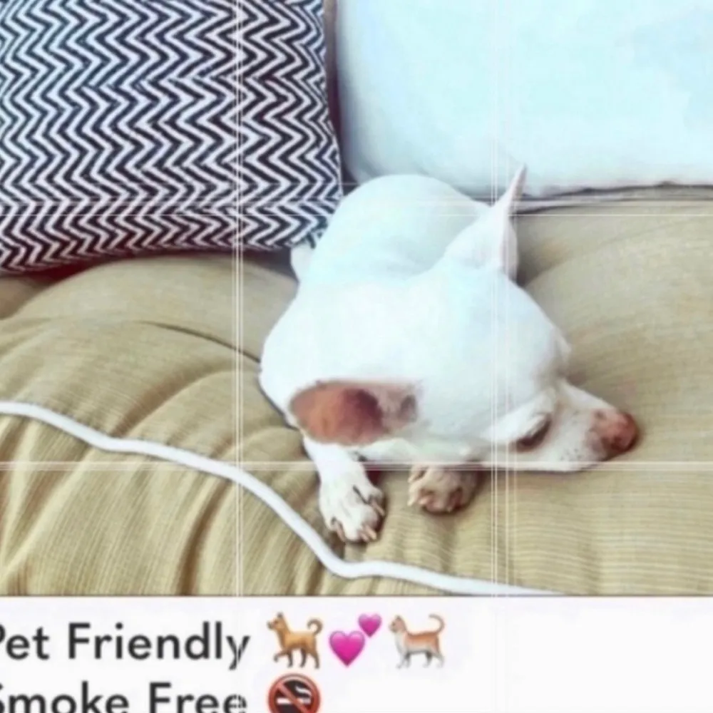 Island Company 🦜 White lined Linen summer dress blue parrot Size M - Image 8