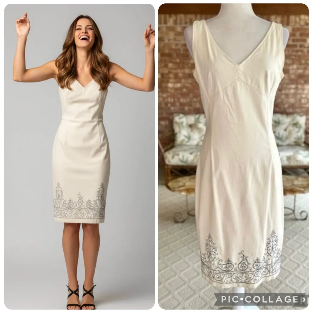 Express Dress Cream Embroidered Sleeveless Knee Length M Garden Party office - Image 2