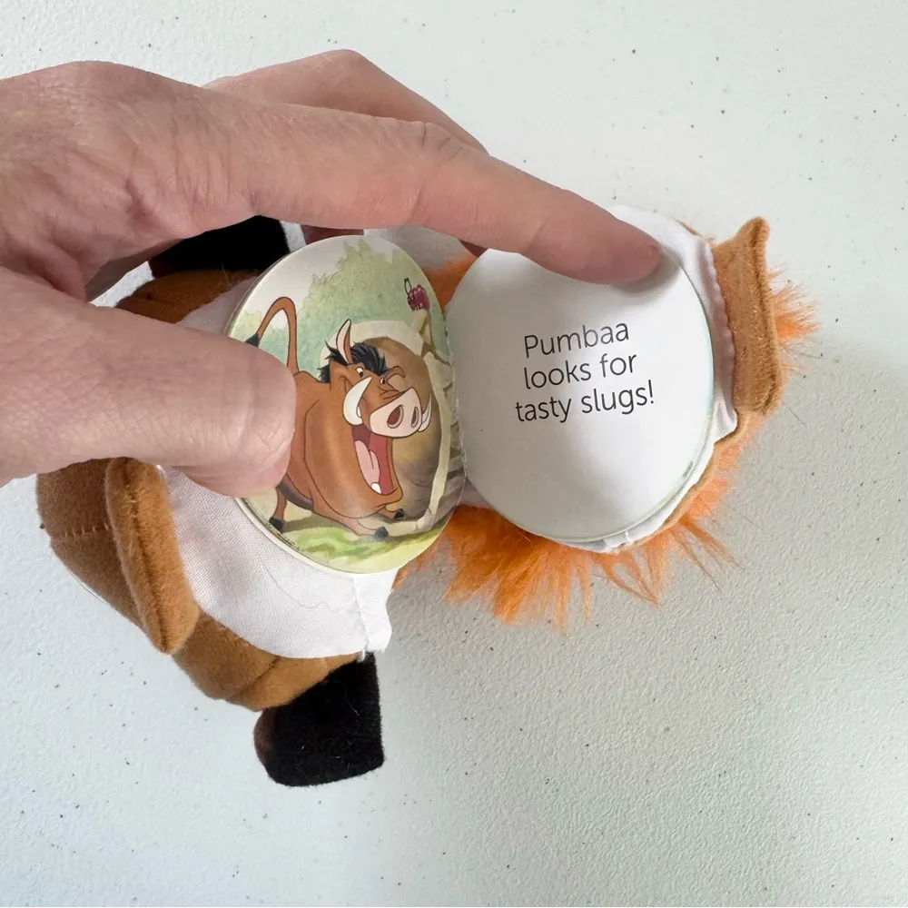 Vintage 90’s Y2K Disney Timon TEACHERS PETS Plush Book Keychain - Image 5