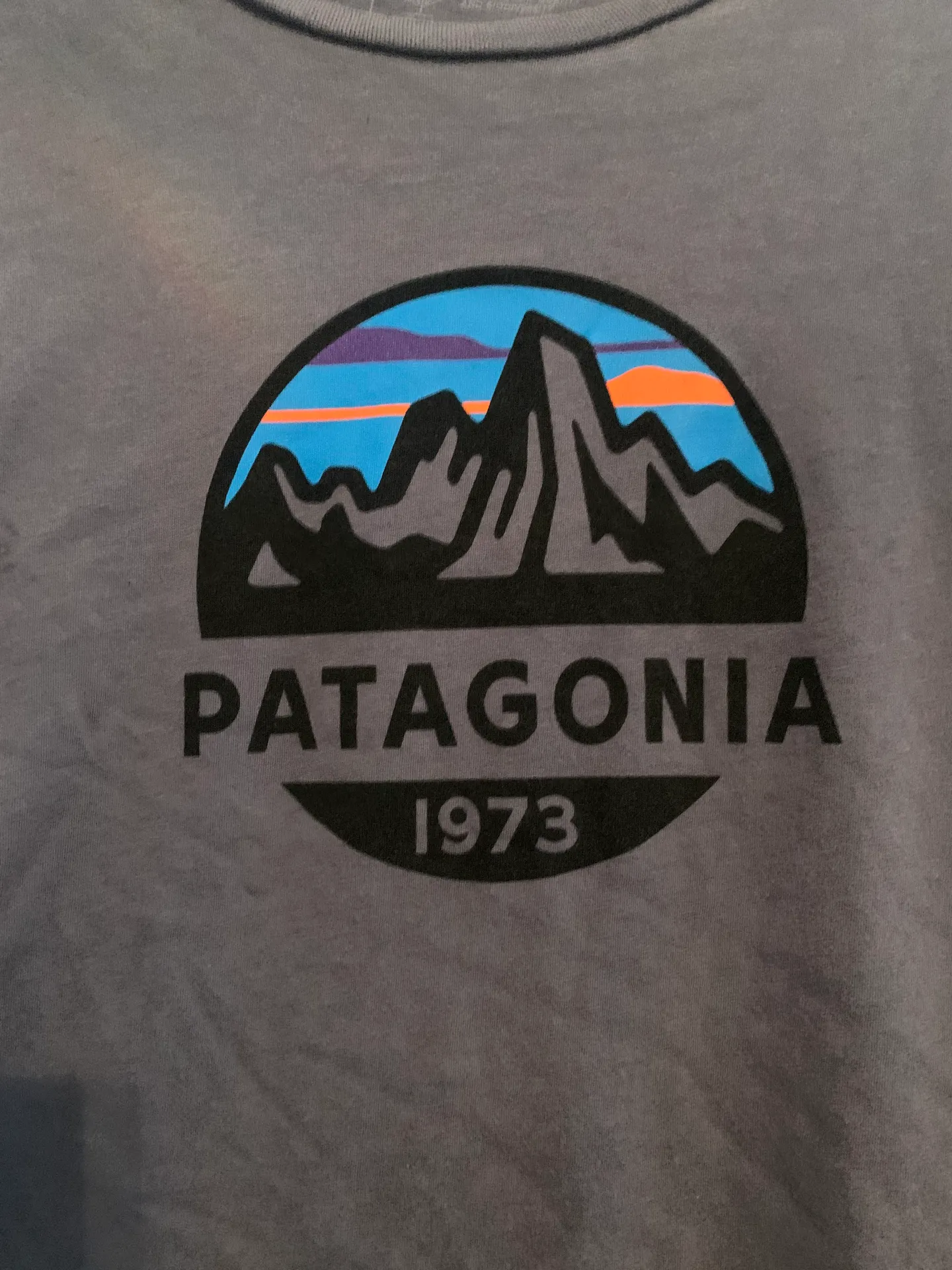 Patagonia Graphic Tee - Image 3