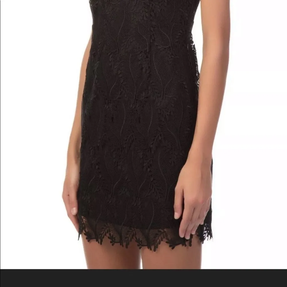 Diane von Furstenberg DVF Tailored Lace Overlay - Image 6