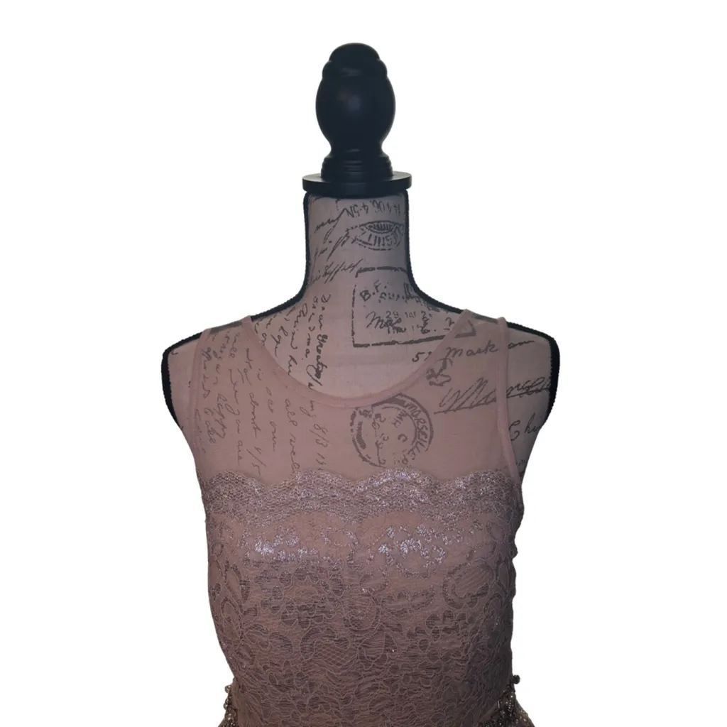 City Studio Size 9 Champagne and Silver Homecoming Dress Lace Tulle Gemstones Pink - Image 2