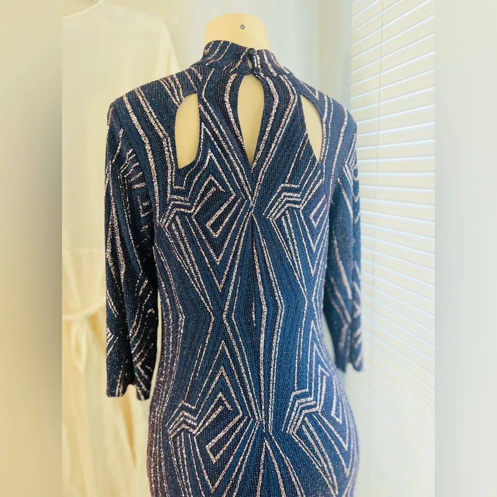 En Focus Studio size 10 embellished blue and gold metallic formal dress. - Image 4