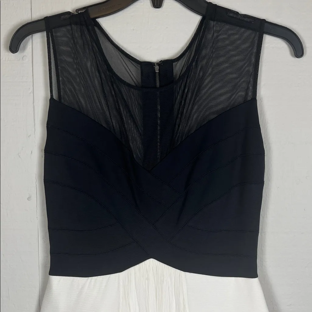 BCBG MaxAzria Giovanna Silk Blend long Black and white Dress 
Size: Small - Image 4