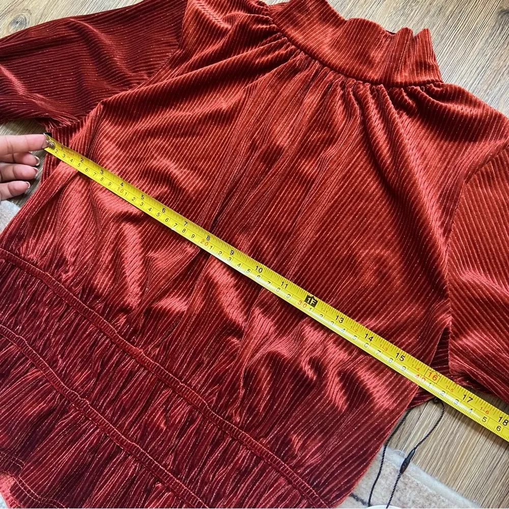 Lost + Wander Rust Velvet Blouse - Image 6