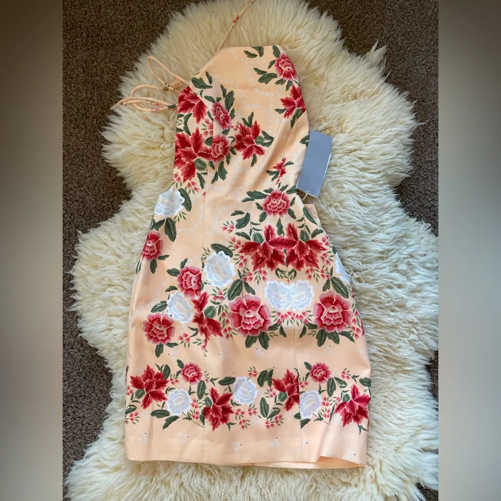 NWT Finders Keepers Exclusive Arcadia Mini Dress Glow Floral open back - Image 6