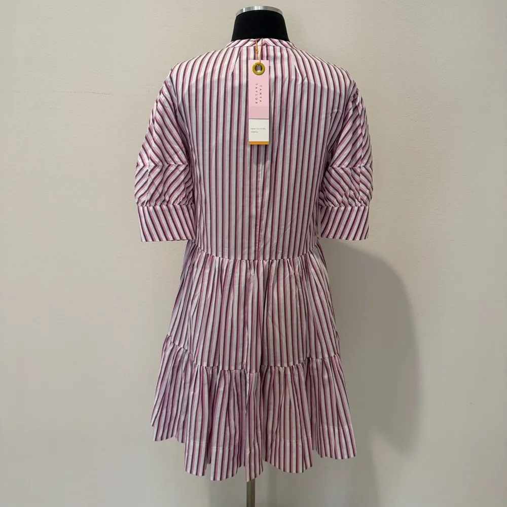 TANYA TAYLOR Calyn Stripe Mini A-Line Flounce Dress Size XS - Image 6