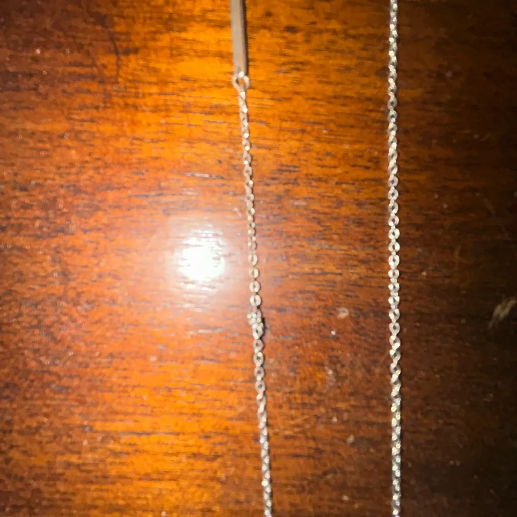 Kendra Scott Silver Ari Necklace with Small Blue Iridescent Heart - Image 6