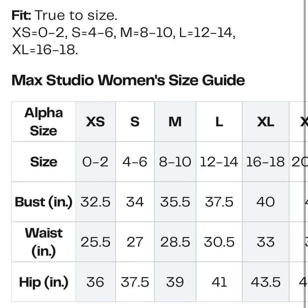 NWT Elegant Black Max Studio Ponte A line Skirt xl - Image 7