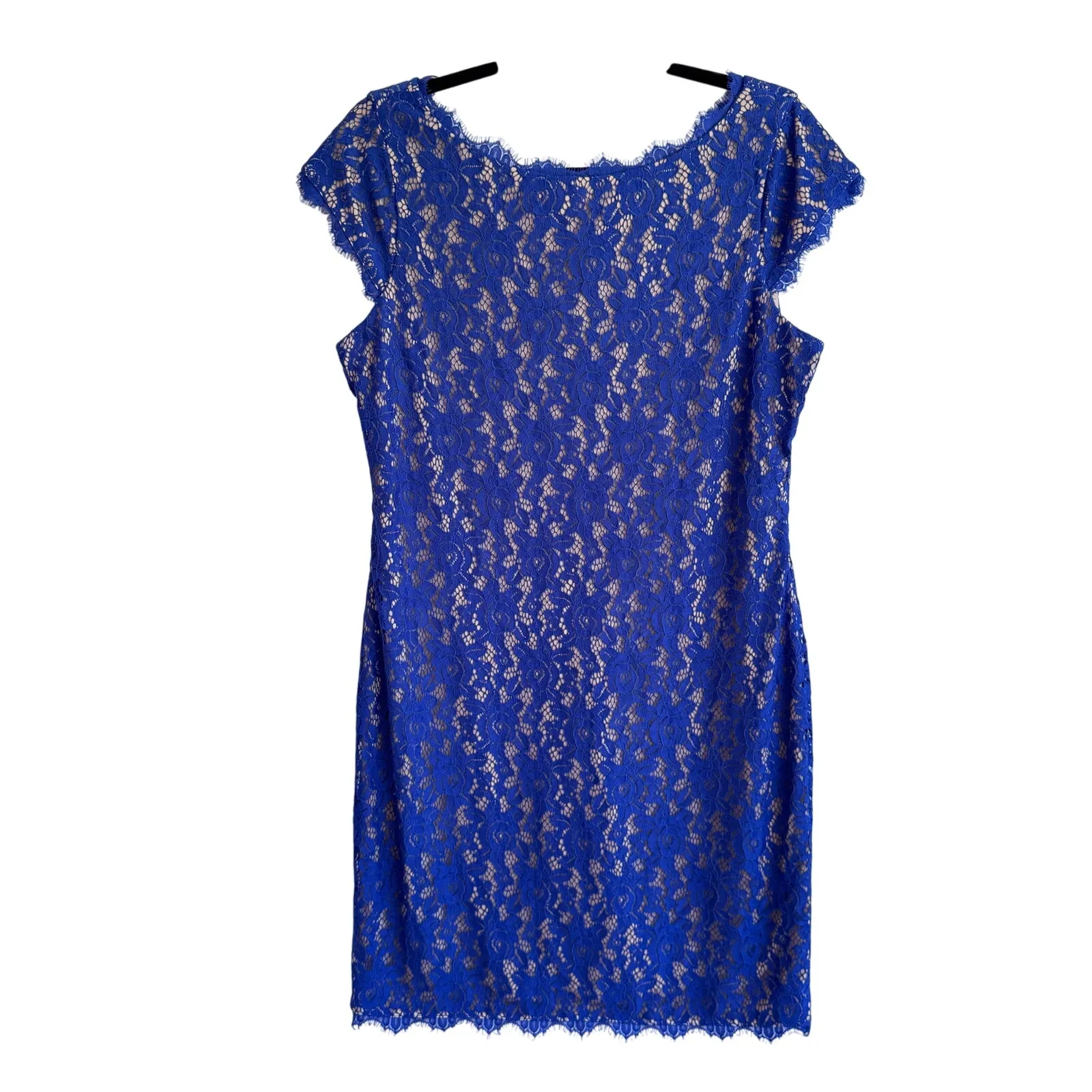 Eliza J Royal Blue Lace Cocktail Dress Size 12 Cap Sleeve Scalloped Hem Lined - Image 3