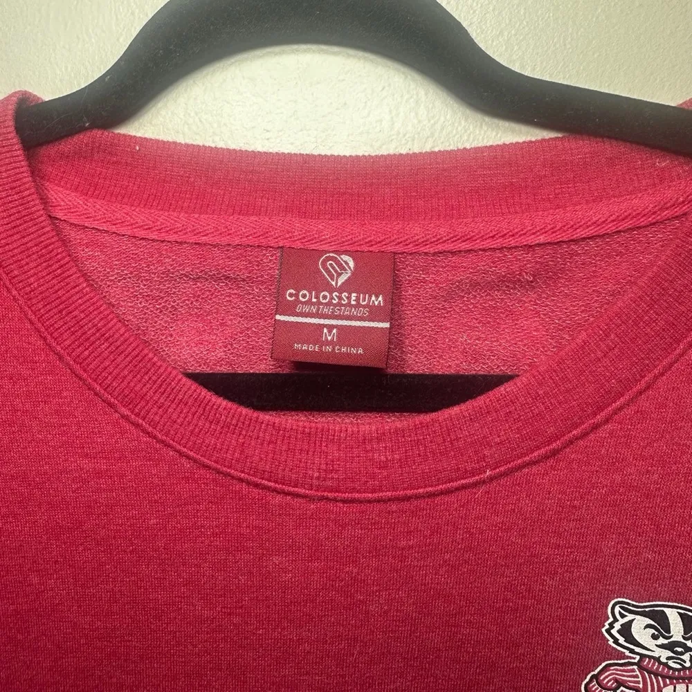 Wisconsin Badgers Women’s Medium M Long Sleeve Bucky Badger Logo - Image 3