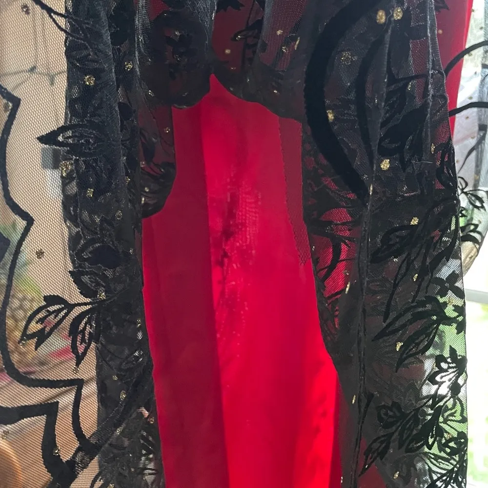 Vintage Women Coldwater Creek Black and Red Floral Velvet With Gold Dots  Dress - Image 7