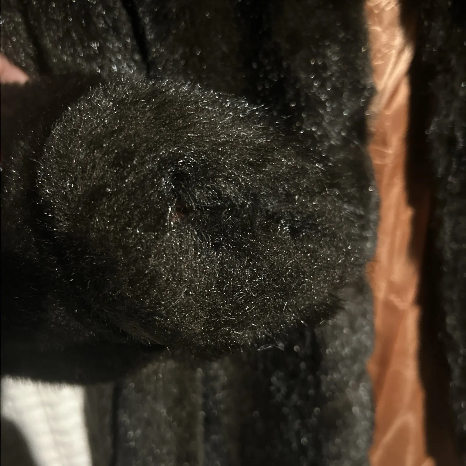 Vintage 60s Sears The Fashion Place Faux Fur Coat Black Satin Lined Mid Length Size M - Image 4