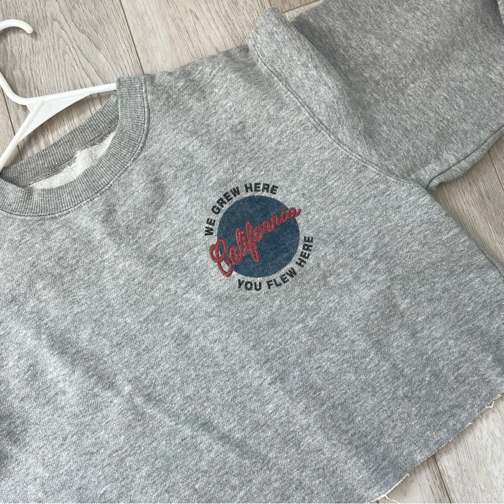 Brandy Melville California We Grew Here You Flew Here Crop Sweatshirt Gray (os) - Image 4