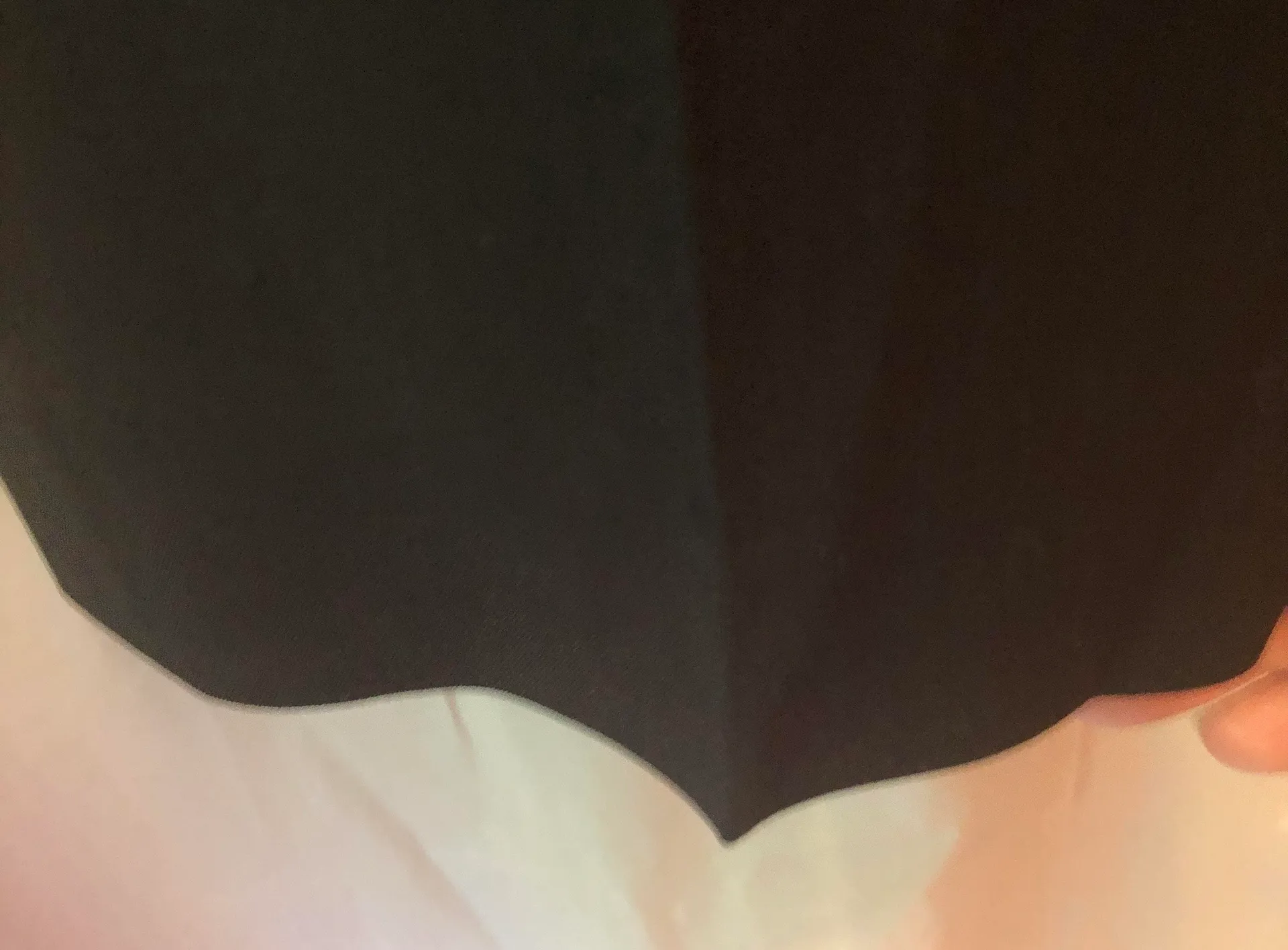 Kasper  Dress Pants - Image 3