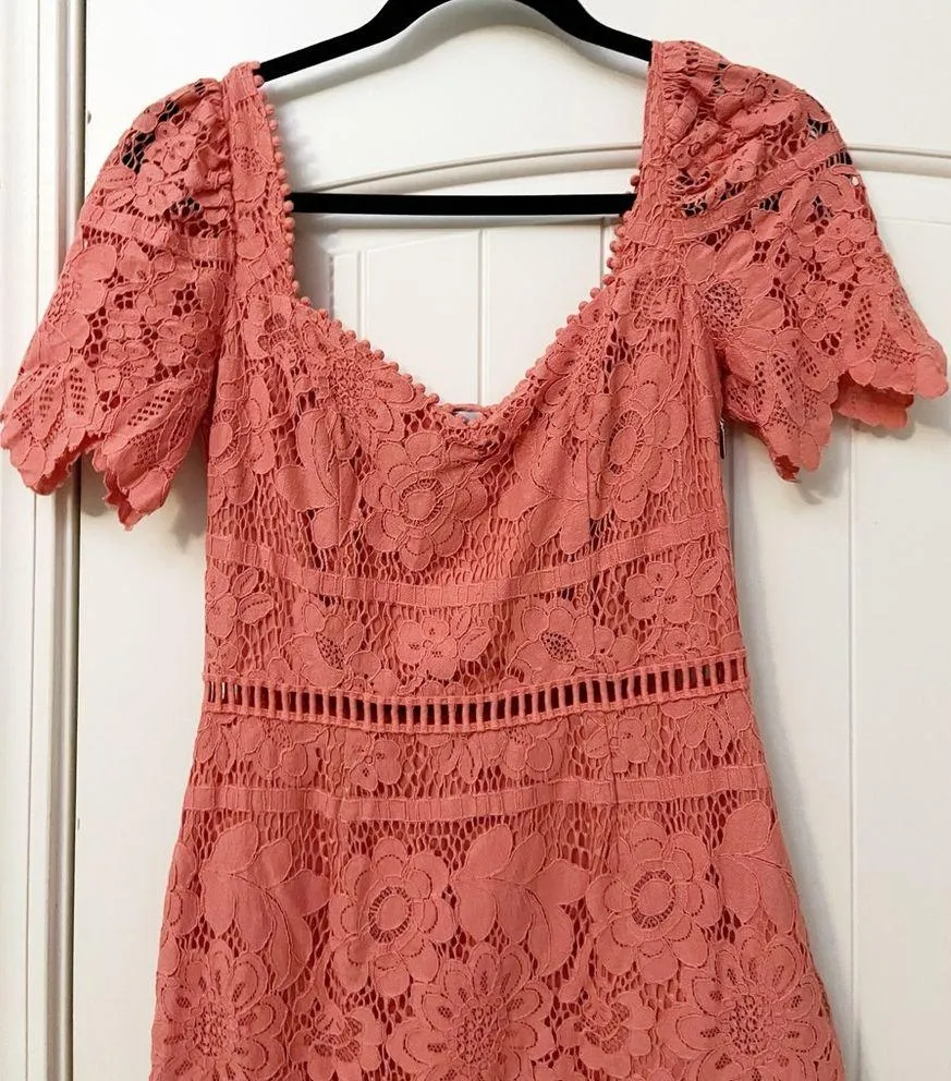 Saylor Louisa Lace Midi Dress - Image 5