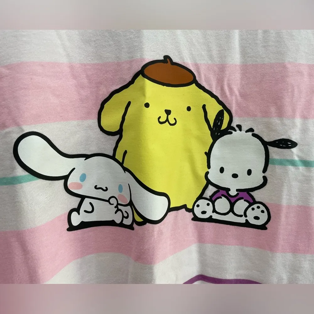 Sanrios Characters Cinnamoroll Pompompurin Pochacco Stripe Long-Sleeve T-Shirt - Image 7