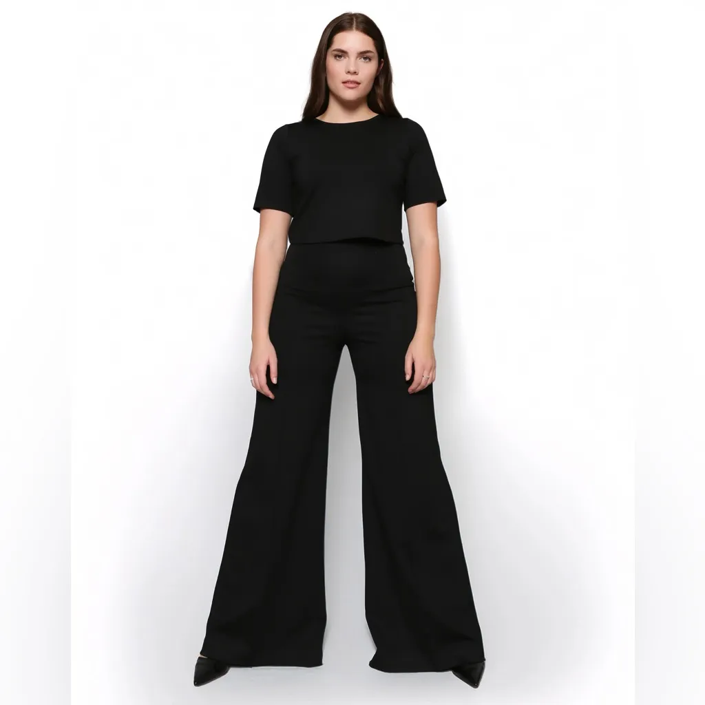 NEW NWT Ripley Rader Black Ponte Knit Wide Leg Pull On Pant 4+ - Image 3