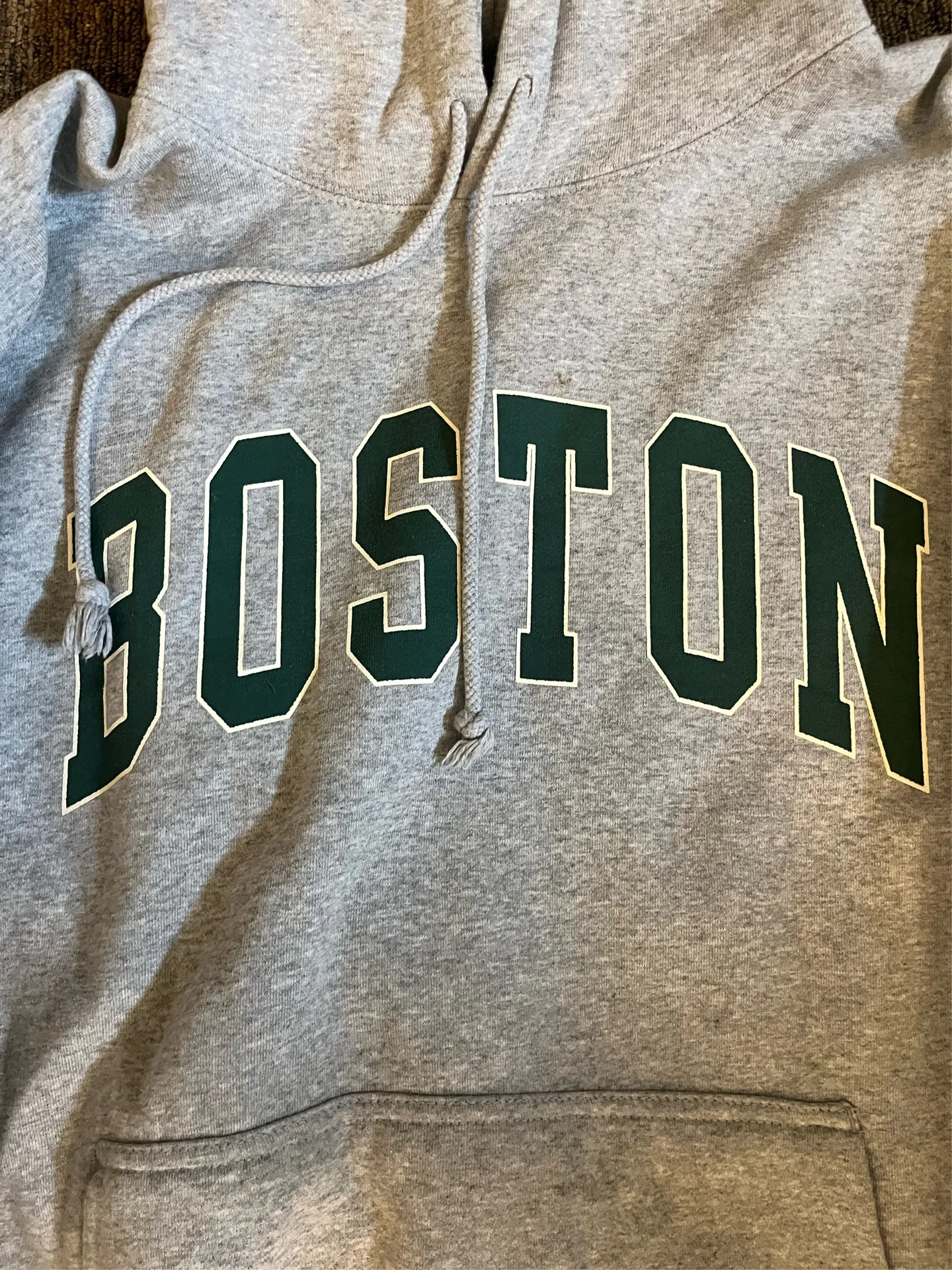 John Galt Boston Brandy Melville Hoodie - Image 2