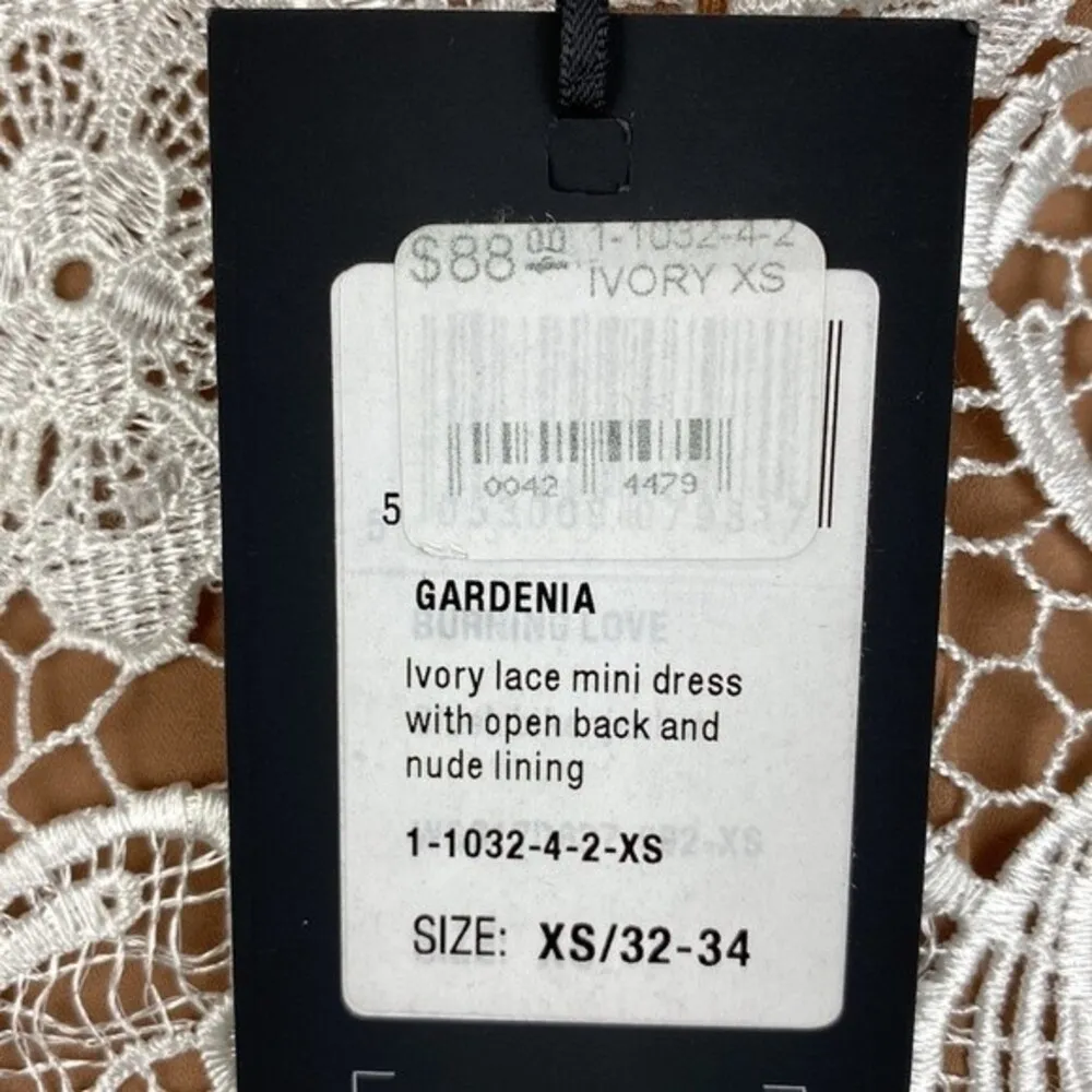 Goldie Ivory & Nude Lace Mini Sleeveless Dress NEW XS - Image 4