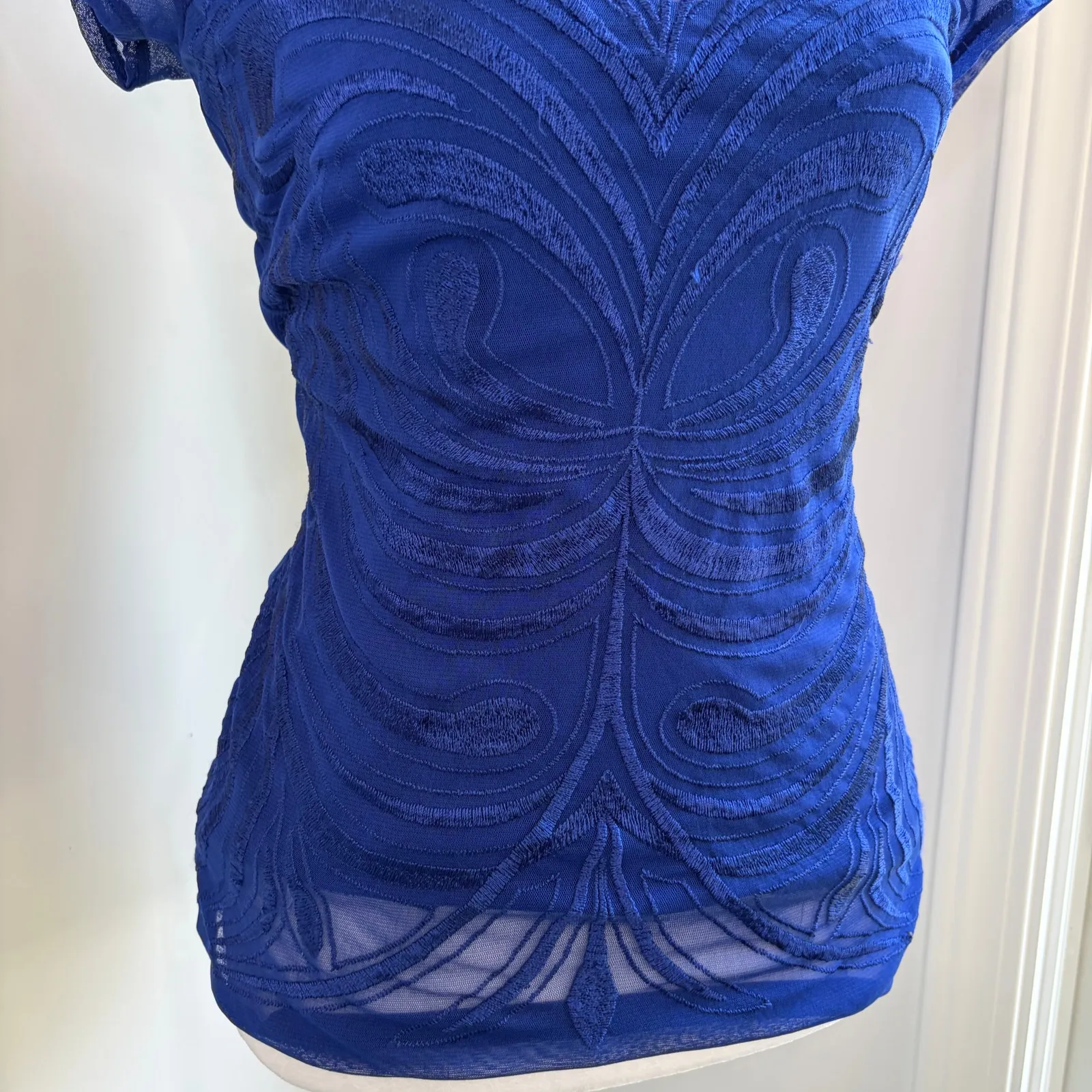 Royal Blue Y2K Embroidered Design Sheer T - Image 3