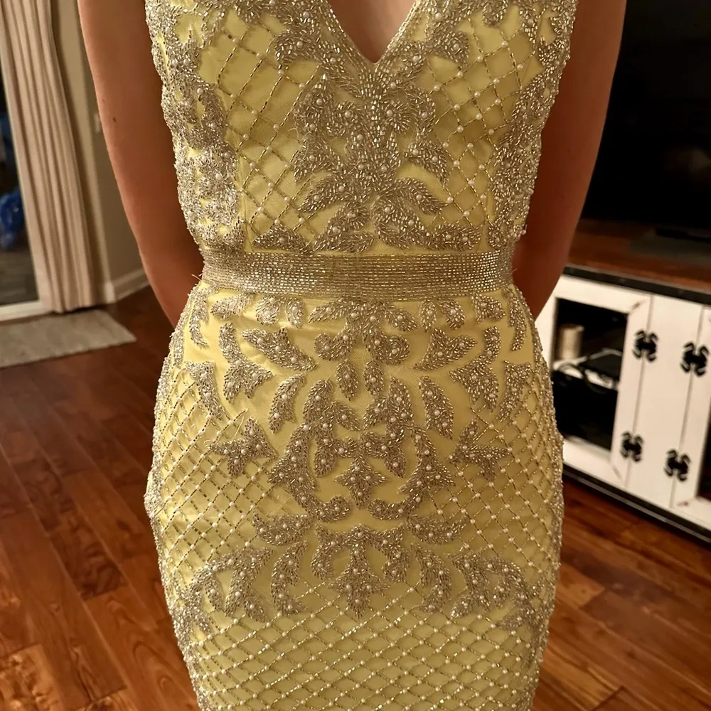 This Primavera Couture dress will sure make an absolutely stunning statement!! - Image 3