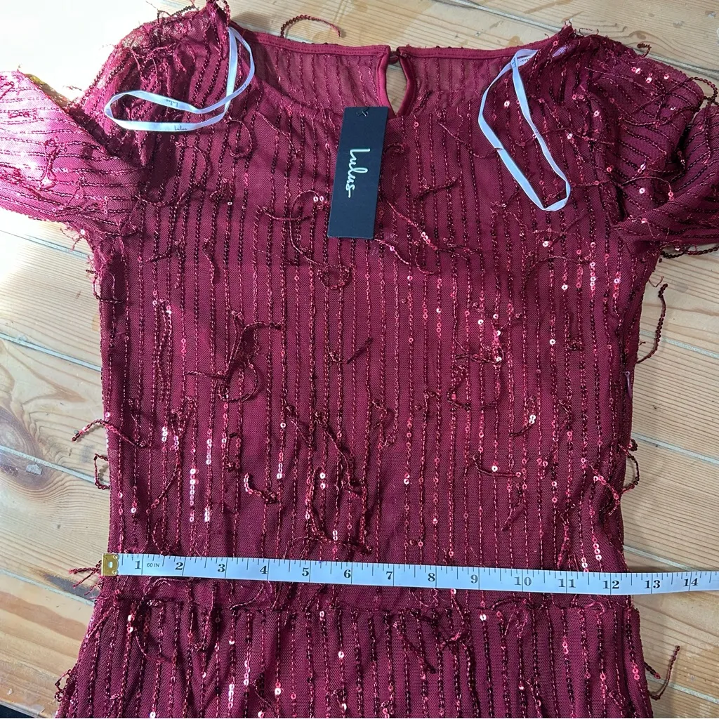 Sheer Fascination Burgundy Sheer Mesh Sequin Fringe Maxi Dress - Image 3