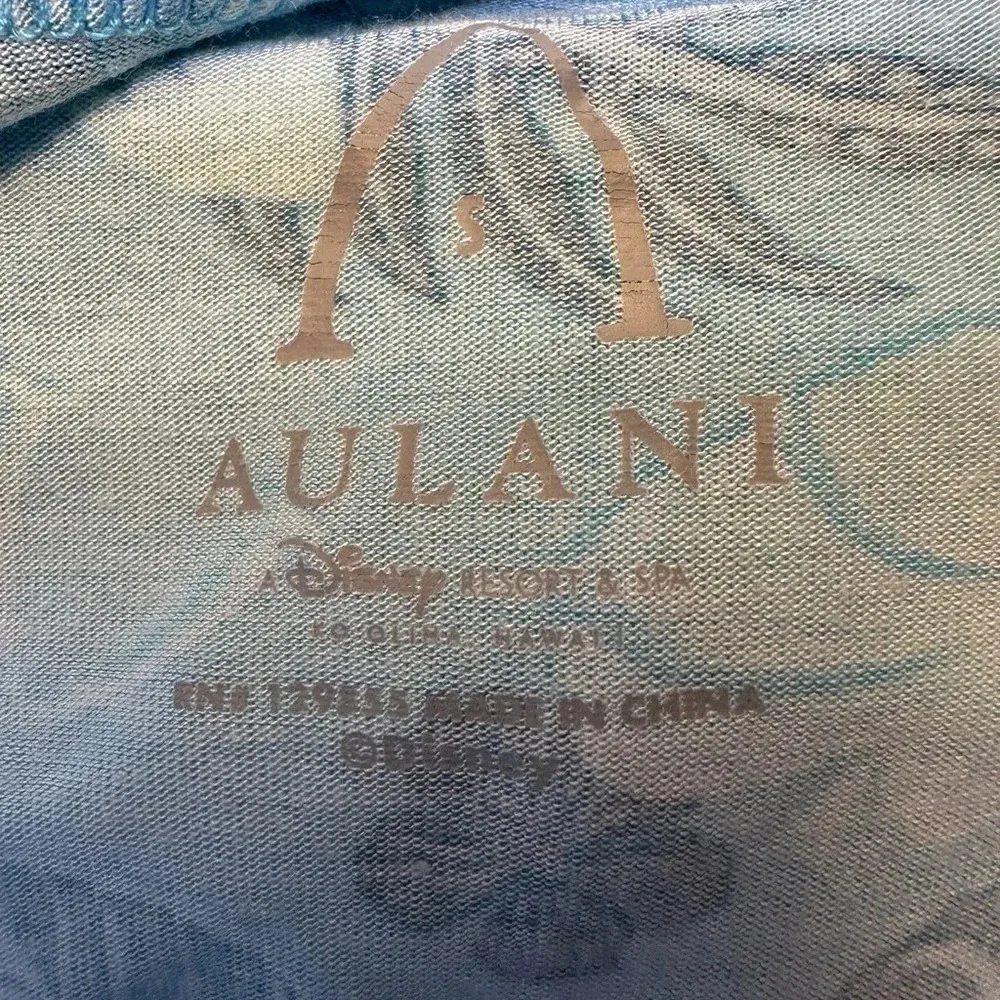 Disney Aulani Hawaiian tank. Created especially for Aulani, Disney Resort & Spa - Image 4