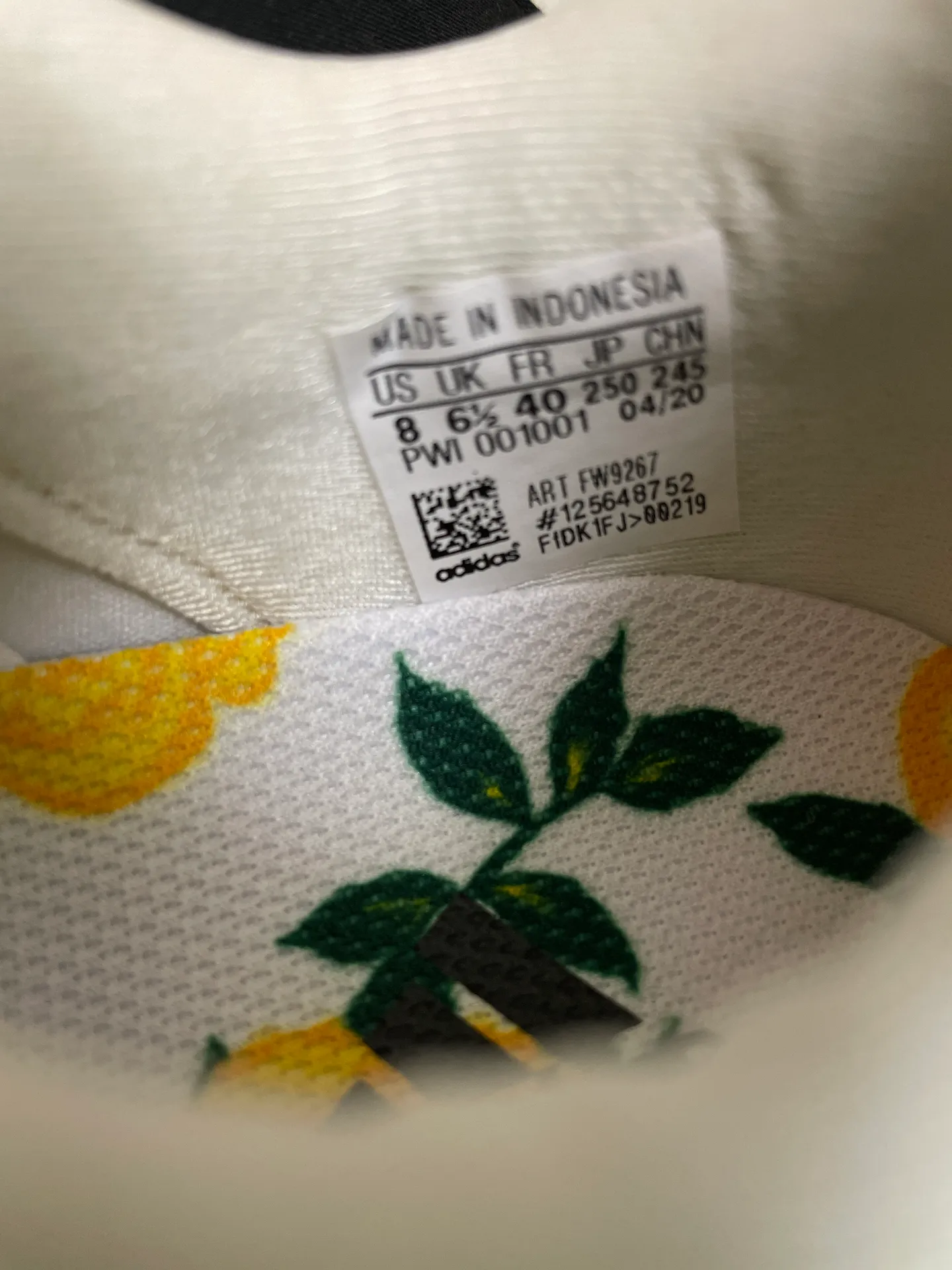 Edge Lux 4 - Image 2