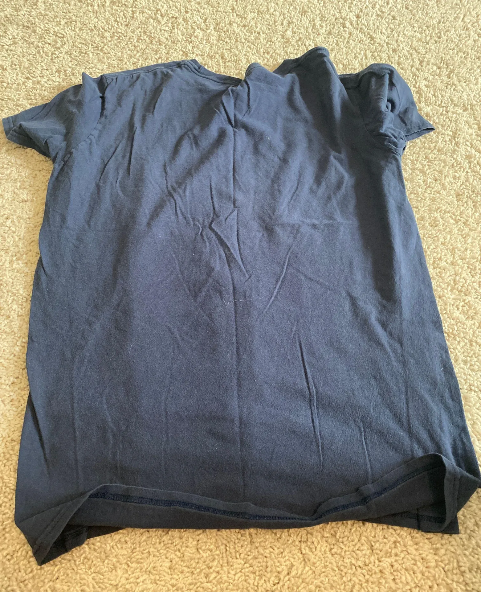 Anvil Blue Ridge Mountain Tee - Image 2